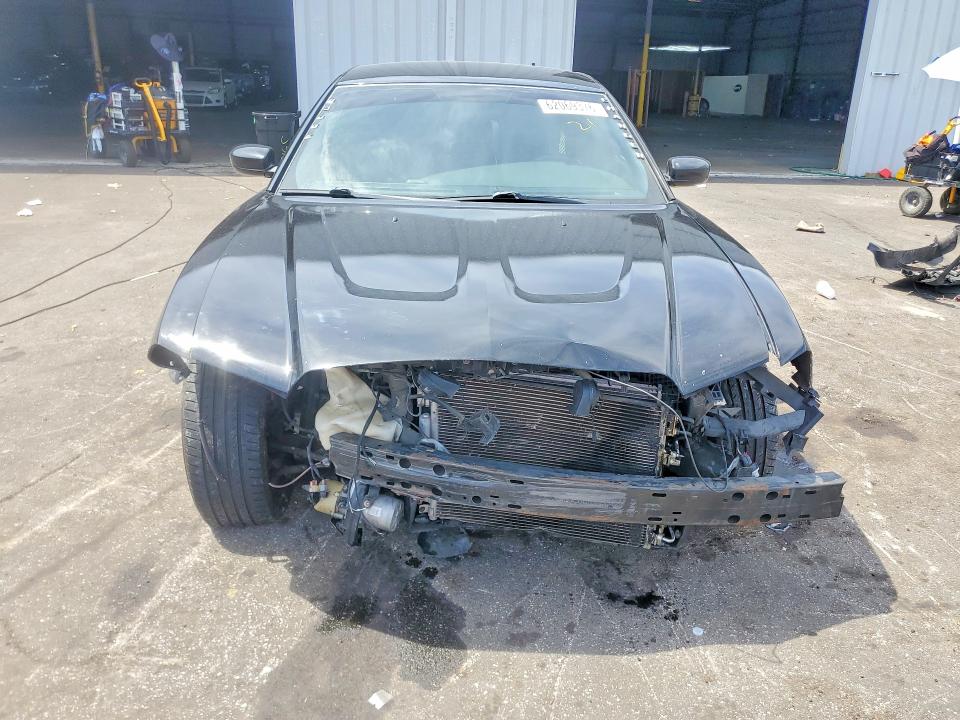 2013 DODGE Charger SE photo 3